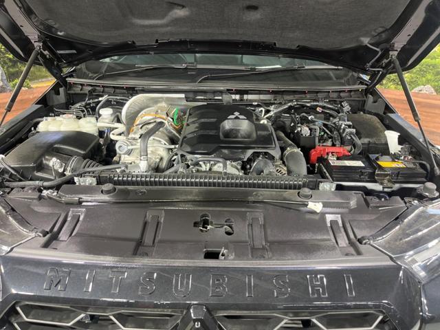 22506570_carP_l_16.jpg