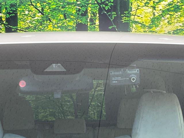 22355035_carP_l_4.jpg