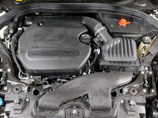 23033031_carP_l_14.jpg