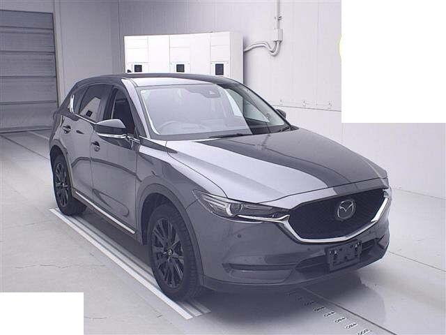 22472274_carP_l_1.jpg