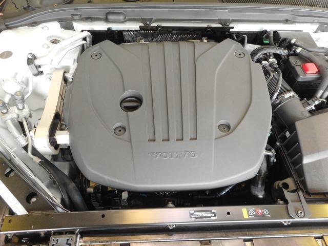 22155832_carP_l_20.jpg