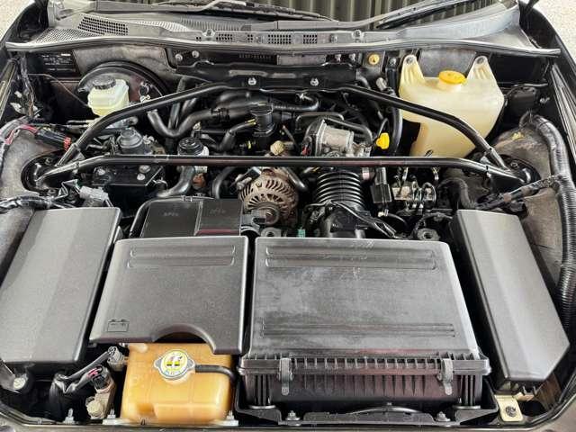 19807760_carP_l_18.jpg