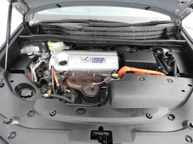 22429328_carP_l_17.jpg