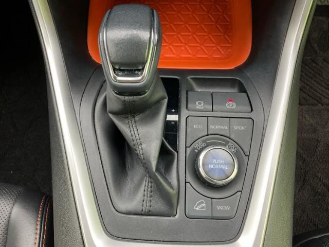 20170953_carP_l_16.jpg