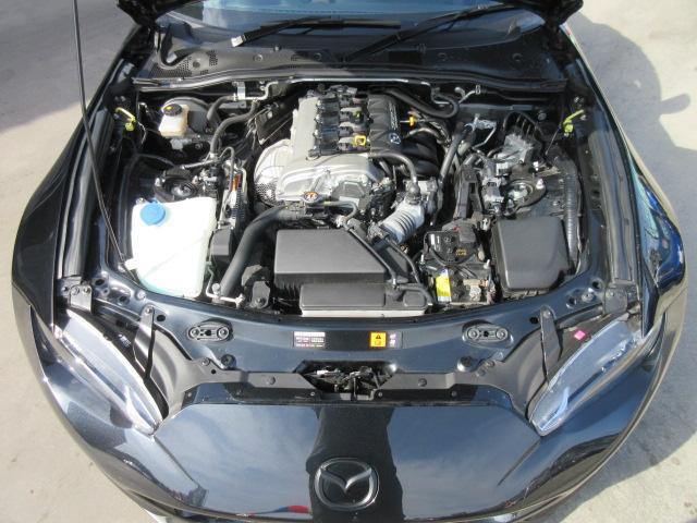 0561088A30260228W00216.jpg