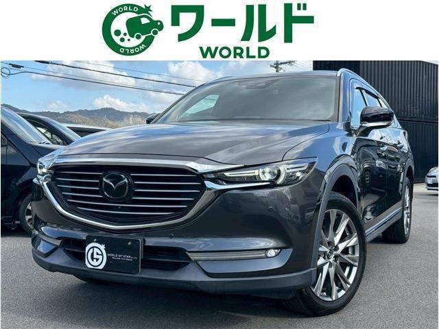 20839068_carP_l_1.jpg