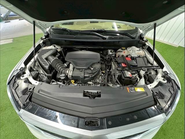 22199846_carP_l_6.jpg