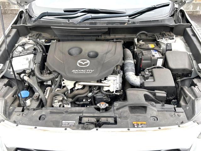 22740222_carP_l_16.jpg