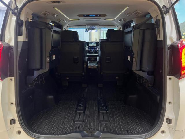 22915392_carP_l_8.jpg