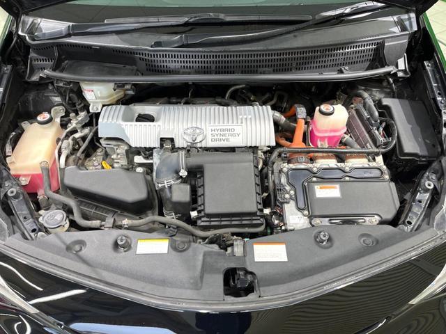 23112131_carP_l_20.jpg