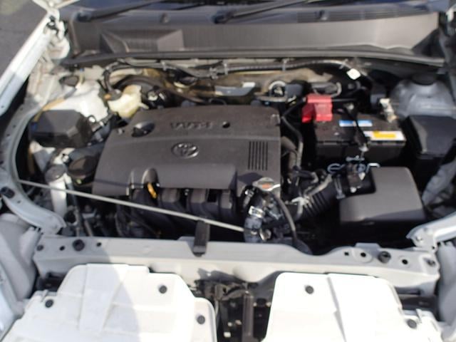 1020097A30250218W00101.jpg