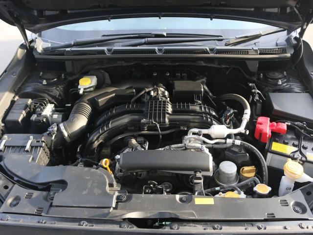 21785927_carP_l_17.jpg