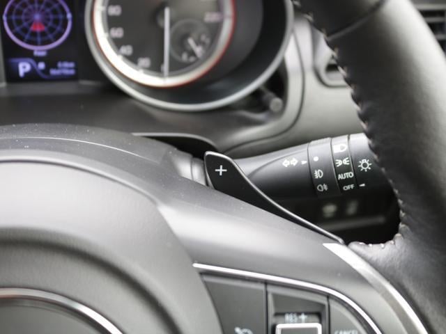 0509625A30250908W00116.jpg