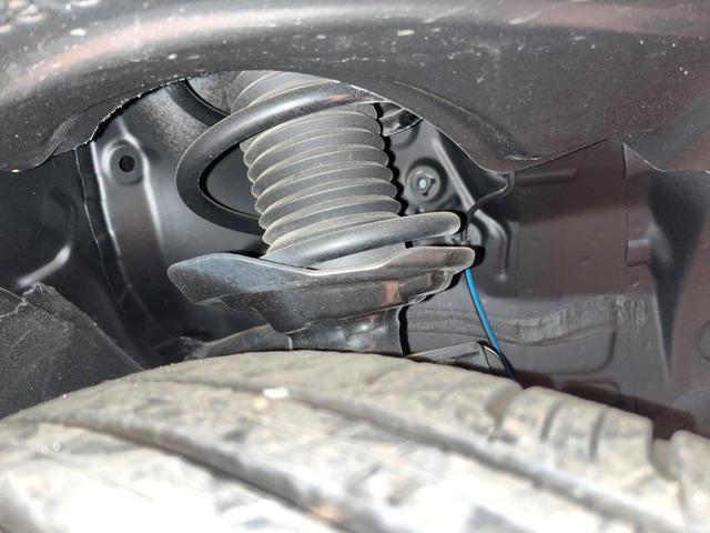 22076364_carP_l_20.jpg