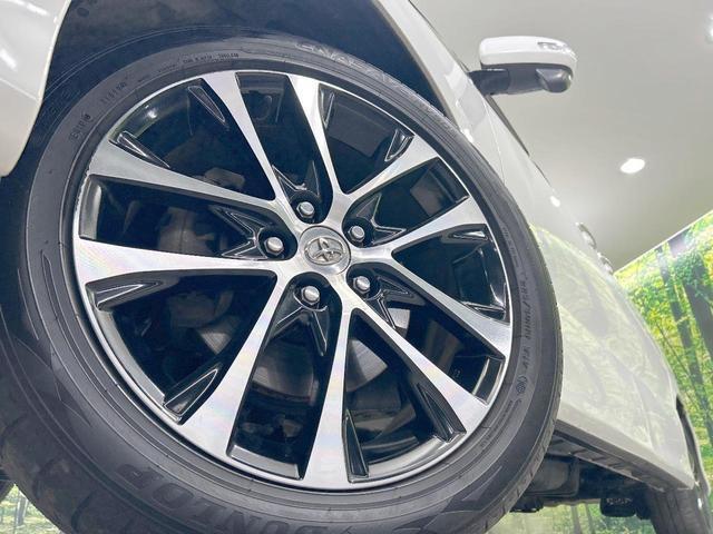 22544970_carP_l_8.jpg