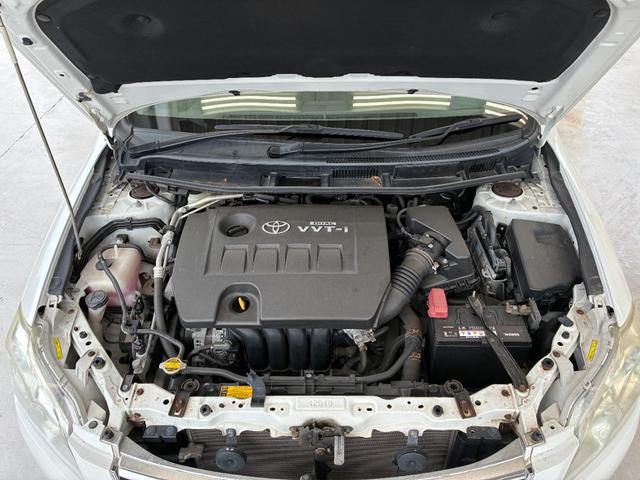 0402950A30260228W00219.jpg