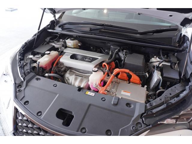 23019971_carP_l_17.jpg