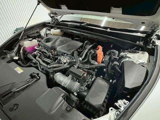 4fffab55744929333869d4320e175562.jpg