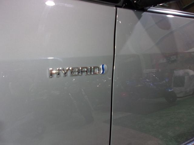 0206447A30260304W00115.jpg