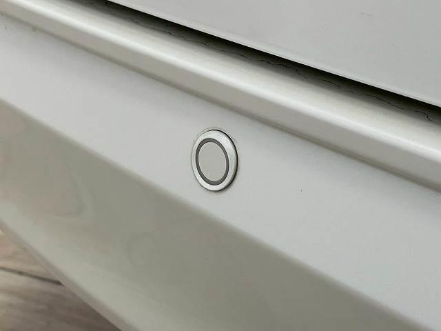 20019898_carP_l_17.jpg