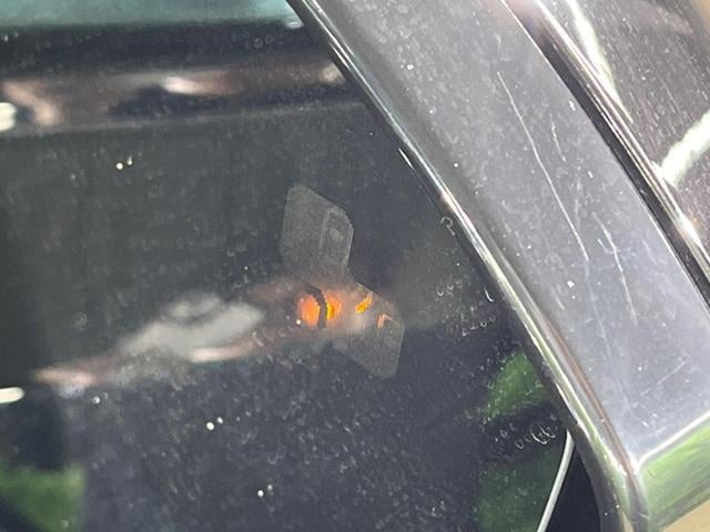 18550639_carP_l_17.jpg