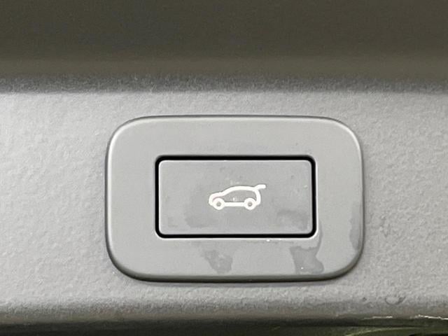 18550639_carP_l_5.jpg