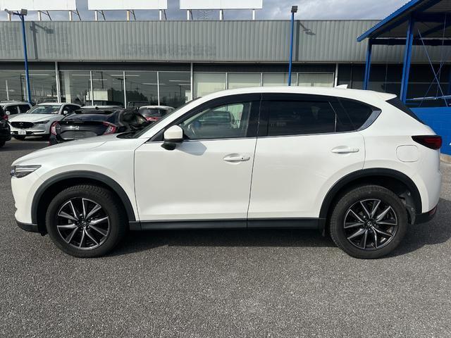 22778276_carP_l_19.jpg