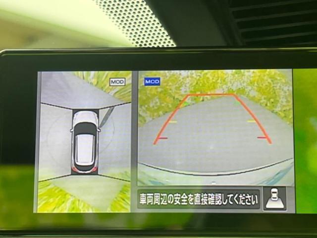 20665738_carP_l_7.jpg