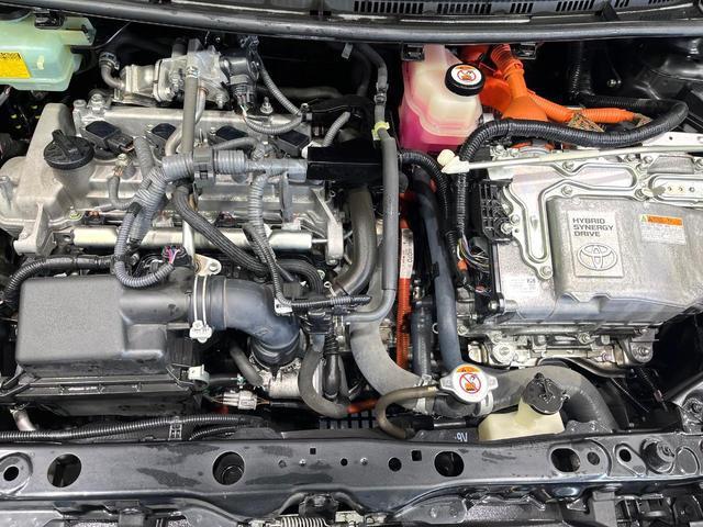 22003910_carP_l_16.jpg
