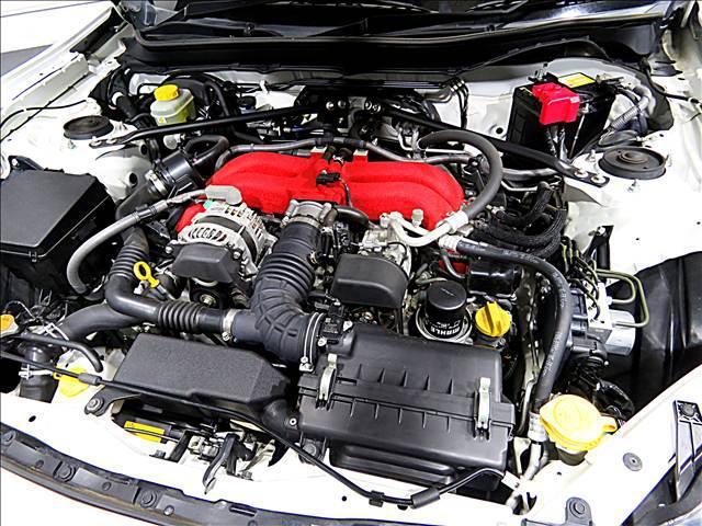 21669004_carP_l_20.jpg
