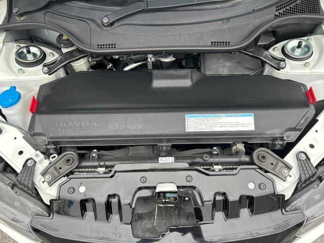 22467336_carP_l_16.jpg