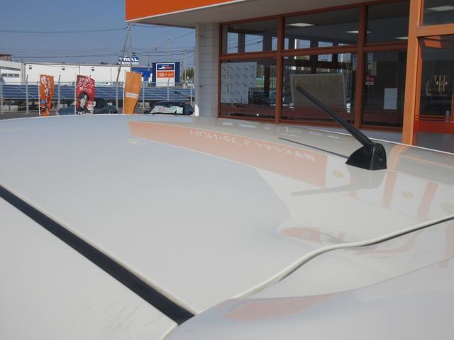 22310076_carP_l_17.jpg