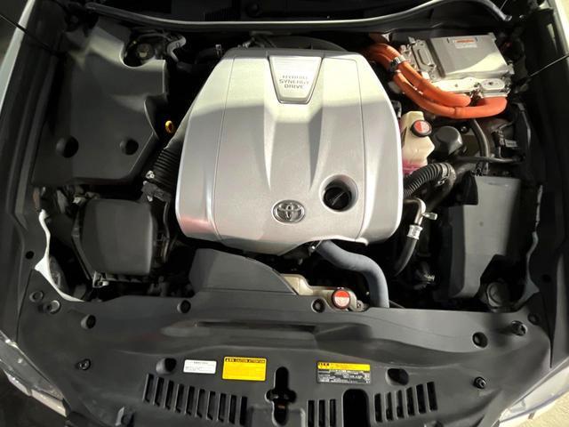 21928641_carP_l_16.jpg