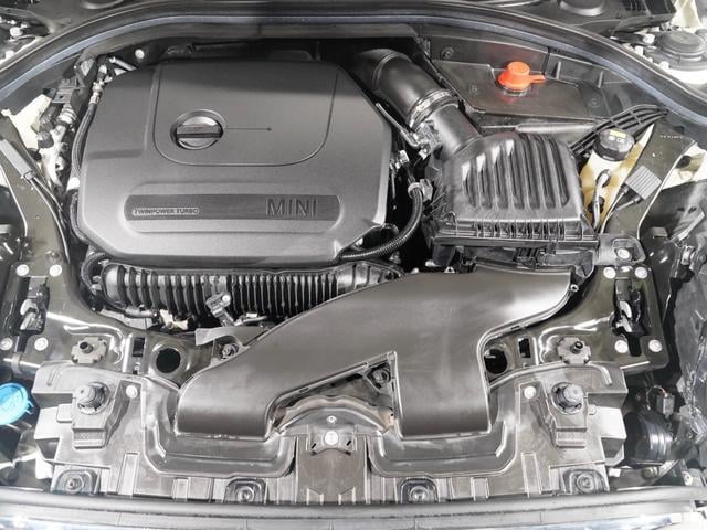 18181982_carP_l_14.jpg