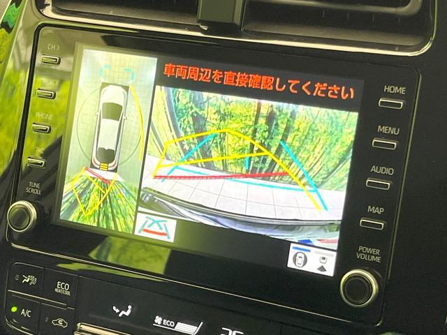 23149192_carP_l_10.jpg