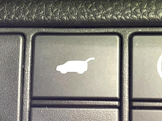 22875450_carP_l_13.jpg