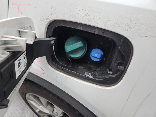 lotterental_141401238_DOIJU_4.jpg