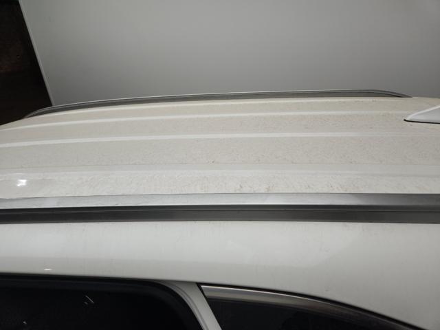 lotterental_141401278_XTw18_5.jpg