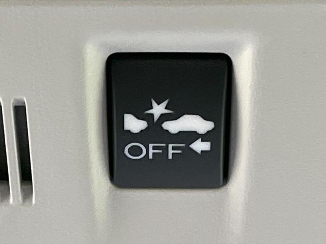 21984387_carP_l_10.jpg