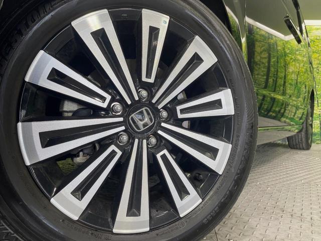 21061965_carP_l_8.jpg