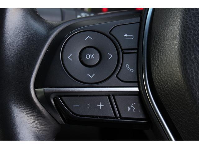 21740027_carP_l_18.jpg