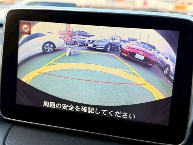 22074874_carP_l_16.jpg