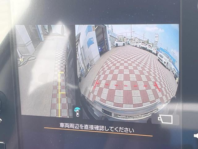 18521634_carP_l_4.jpg