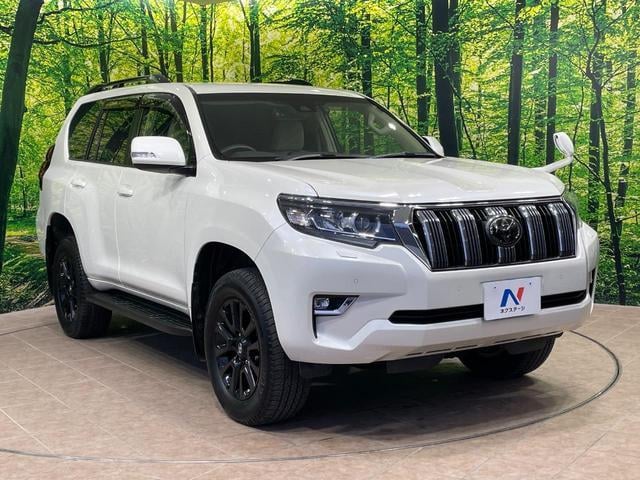 21290137_carP_l_12.jpg