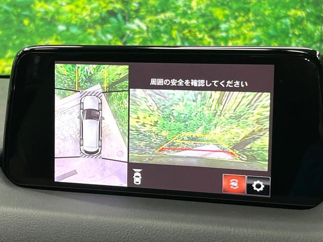 22876202_carP_l_4.jpg