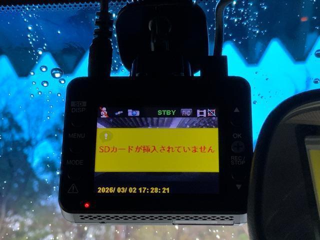 22777949_carP_l_20.jpg