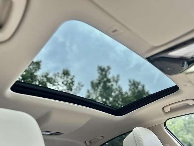 19086634_carP_l_10.jpg