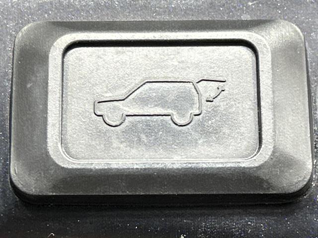 22392934_carP_l_19.jpg