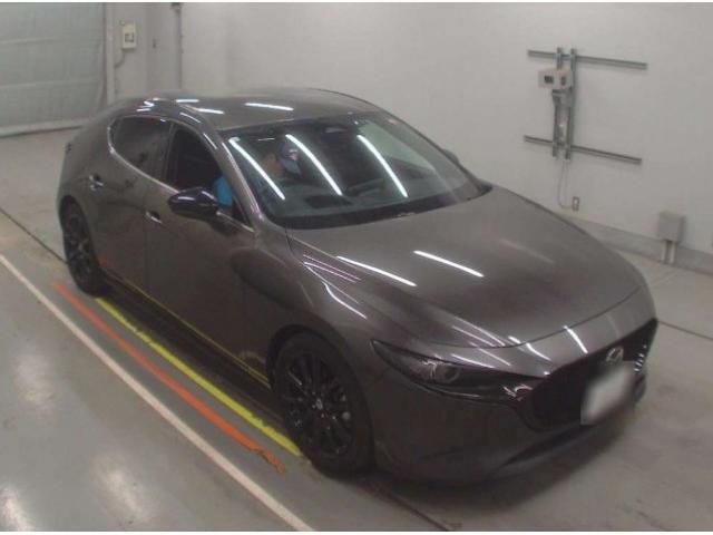 22393770_carP_l_15.jpg