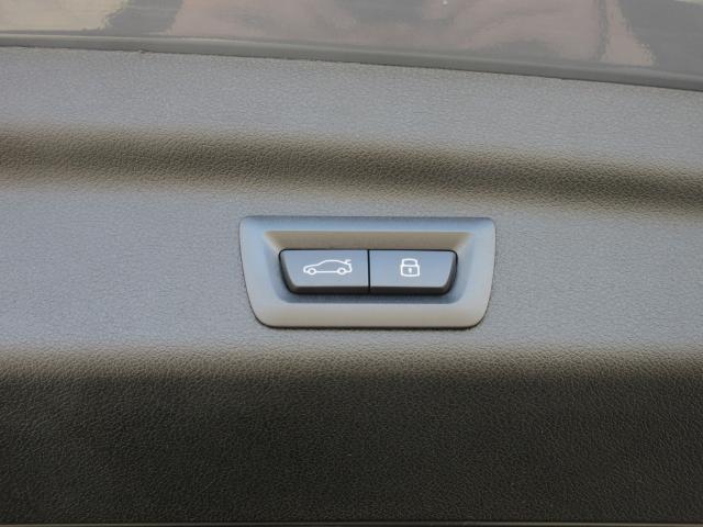 21821952_carP_l_19.jpg